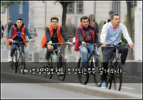 ํ์๋ณดํ์ ๋ฆฝ๋ณดํ๋ฃ ๋ณด์ฅ๋๋๋ถ๋ถ ์ค๊ณํ๋ผ