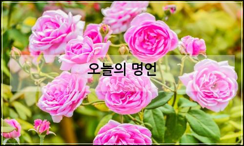 오늘의 이미지