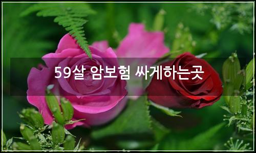 오늘의 이미지