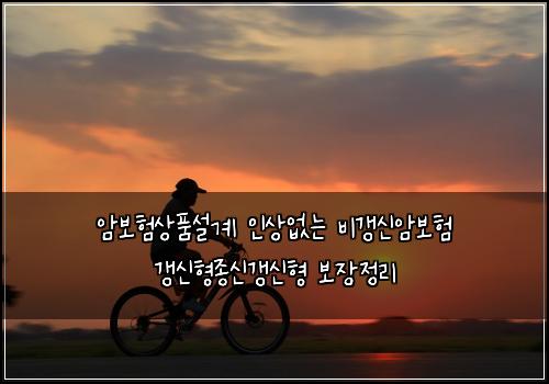 암보험상품설계 인상없는 비갱신암보험 갱신형종신갱신형 보장정리