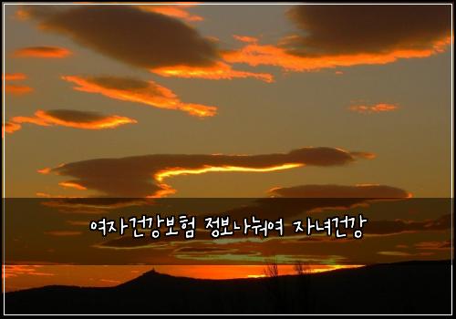 여자건강보험 정보나눠여  자녀건강