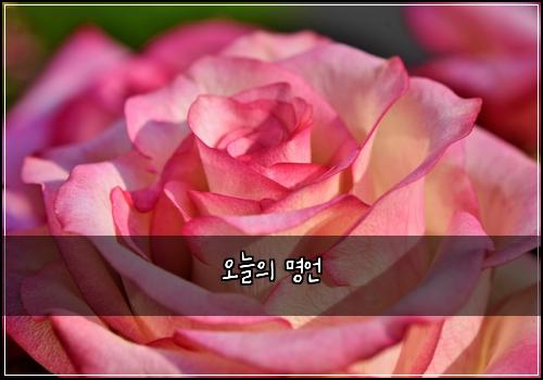 오늘의 명언