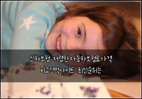 신차보험 저렴한자동차보험료가격 비교견적사이트 최신순위는