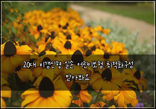 20대 비갱신형 실손 어린이보험 최적화구성  받아봐요
