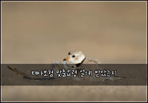 태아보험 맞춤요령  설계 받았는지