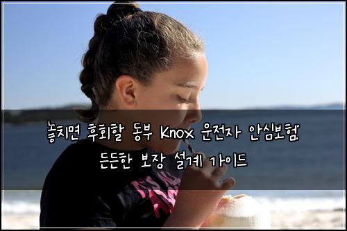  놓치면 후회할 동부 Knox 운전자 안심보험: 든든한 보장 설계 가이드