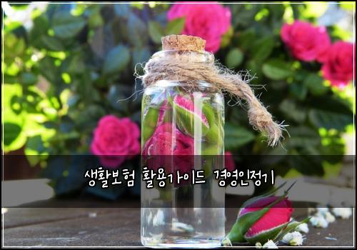 생활보험 활용가이드  경영인정기