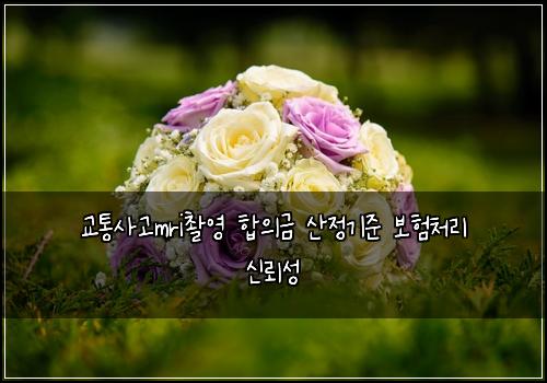 교통사고mri촬영 합의금 산정기준 보험처리 신뢰성