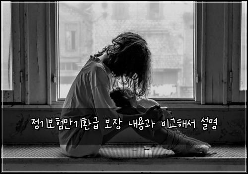 ์ ๊ธฐ๋ณดํ๋ง๊ธฐํ๊ธ ๋ณด์ฅ ๋ด์ฉ๊ณผ ๋น๊ตํด์ ์ค๋ช