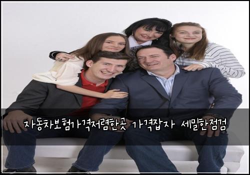 자동차보험가격저렴한곳 가격잡자 세밀한점검