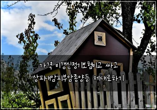 가격 비갱신정기보험비교 싸고 상피내암피부암종양등 제대로하기
