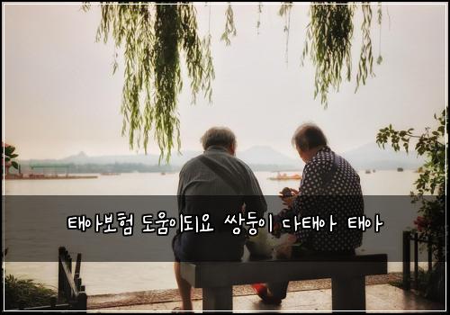 태아보험 도움이되요  쌍둥이 다태아 태아