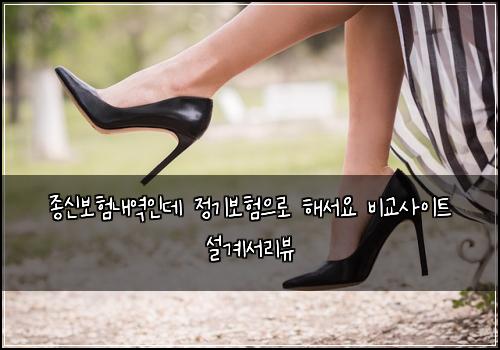 종신보험내역인데 정기보험으로 해서요 비교사이트 설계서리뷰