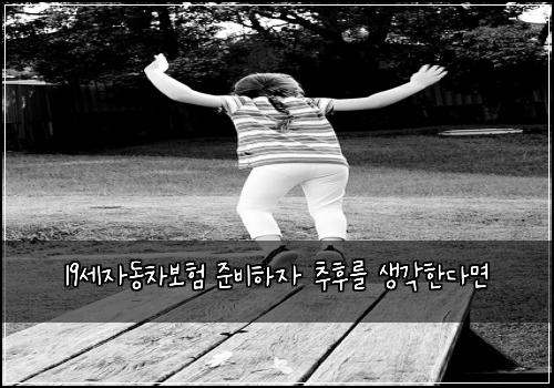 19세자동차보험 준비하자  추후를 생각한다면