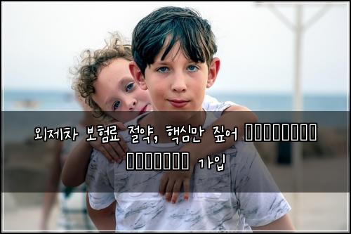 외제차 보험료 절약, 핵심만 짚어 выгодные условия 가입