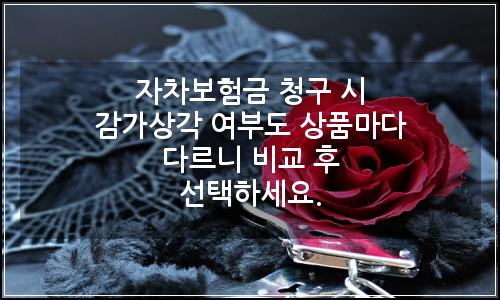 오늘의 이미지