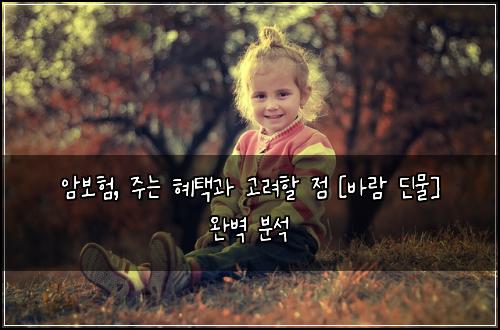 암보험, 주는 혜택과 고려할 점 [바람 딘물] 완벽 분석