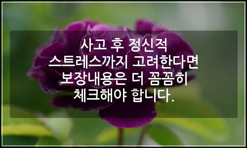 오늘의 이미지
