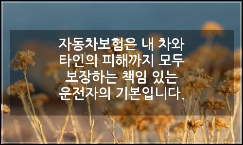 오늘의 이미지