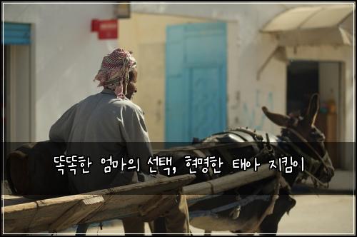  똑똑한 엄마의 선택, 현명한 태아 지킴이
