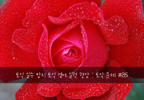 토익 실수 방지 토익 영어 실력 향상 : 토익 문제 #135