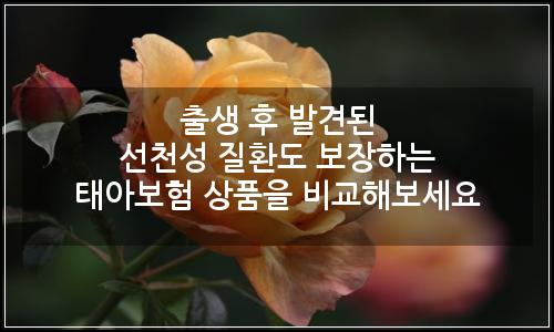 오늘의 이미지