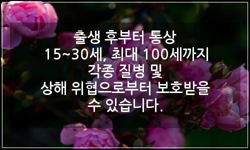 오늘의 이미지