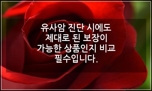 오늘의 이미지