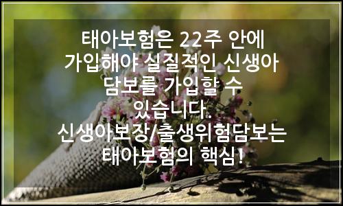 오늘의 이미지