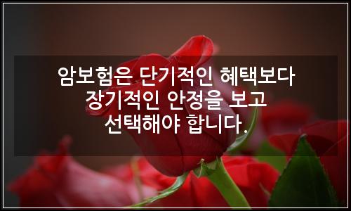 오늘의 이미지
