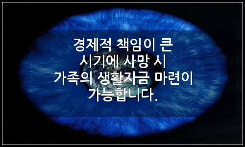 오늘의 이미지
