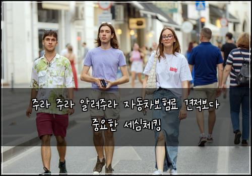 μ£ΌλΌ μ£ΌλΌ μλ €μ£ΌλΌ μλ차보νλ£ κ²¬μ λ³΄λ€ μ€μν μΈμ¬μ²΄νΉ