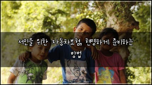 서민을 위한 자동차보험, 현명하게 준비하는 방법