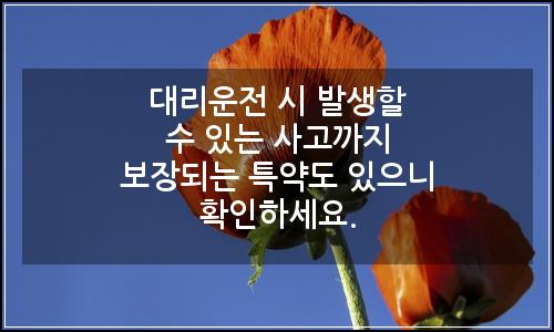 오늘의 이미지