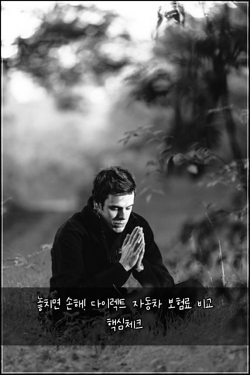  놓치면 손해! 다이렉트 자동차 보험료 비교 핵심체크