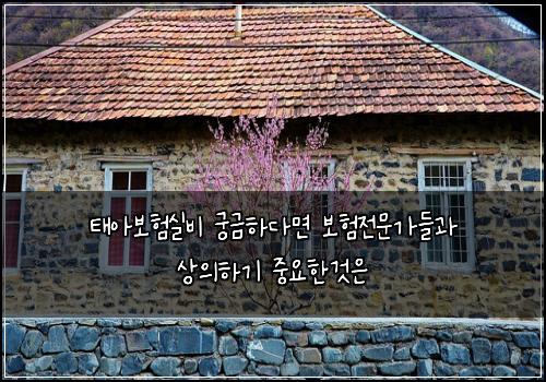 ํ์๋ณดํ์ค๋น ๊ถ๊ธํ๋ค๋ฉด ๋ณดํ์ ๋ฌธ๊ฐ๋ค๊ณผ ์์ํ๊ธฐ ์ค์ํ๊ฒ์