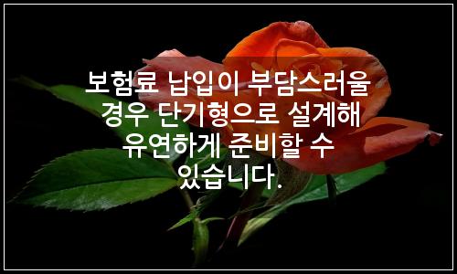오늘의 이미지