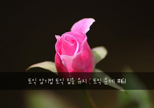 토익 암기법 토익 집중 유지 : 토익 문제 #161