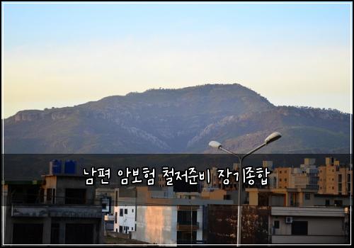남편 암보험 철저준비  장기종합