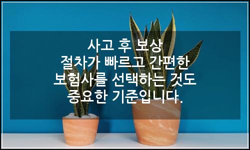 오늘의 이미지