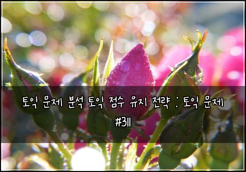 토익 문제 분석 토익 점수 유지 전략 : 토익 문제 #311