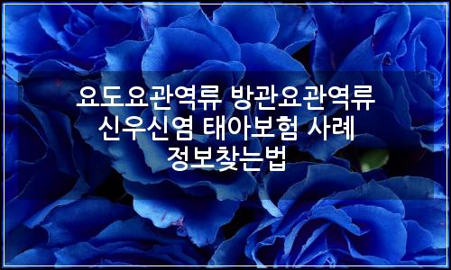 오늘의 이미지