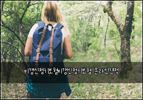비갱신정기보험비갱신정기보험 온라인견적