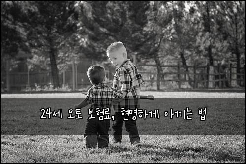 24세 오토 보험료, 현명하게 아끼는 법