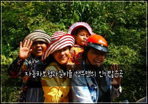 자동차보험과실비율 앵무맨의 인기많은곳