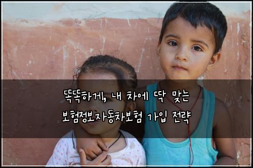  똑똑하게, 내 차에 딱 맞는 보험정보자동차보험 가입 전략