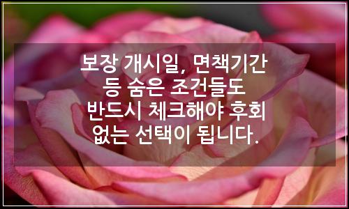 오늘의 이미지