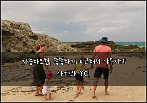 자동차보험, 똑똑하게 비교해서 야무지게 아껴봐 YO!