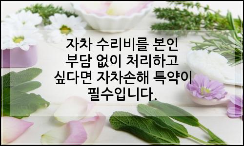 오늘의 이미지