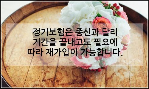 오늘의 이미지
